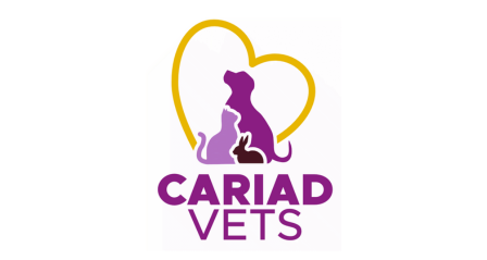 Cariad Vets - Swansea - PHP