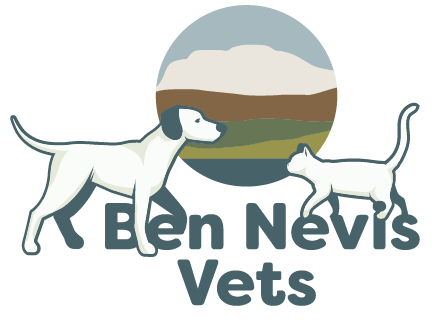 Ben Nevis Vets