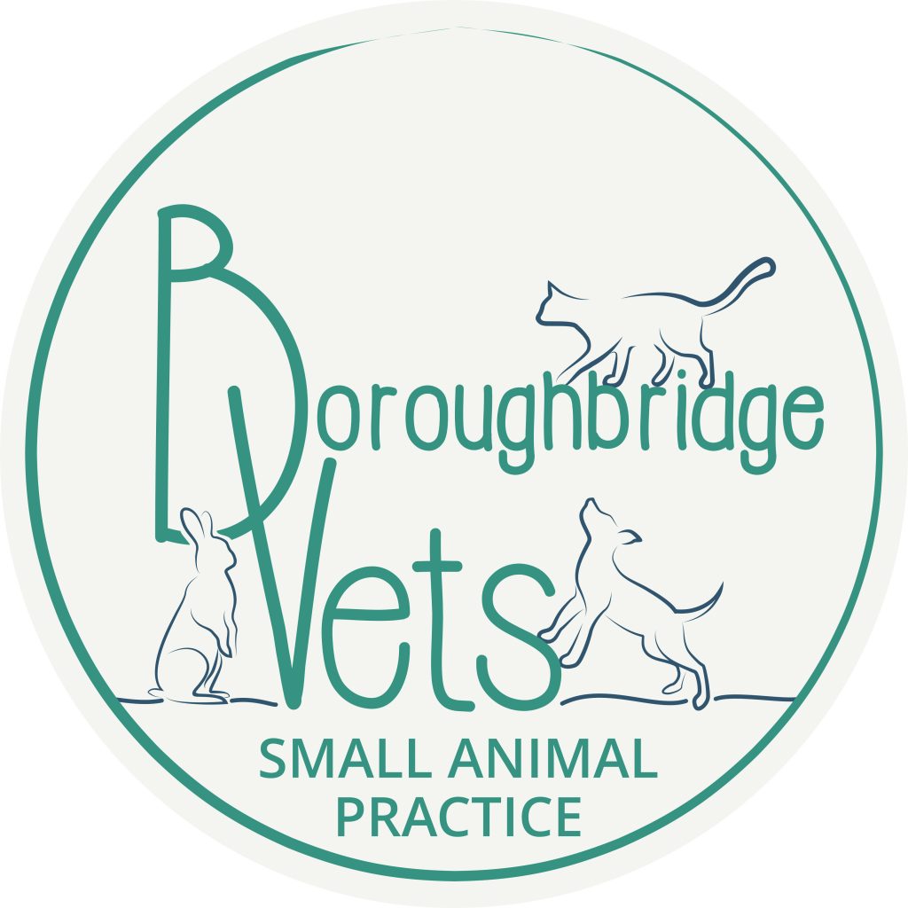Boroughbridge Vets Pet Health Plan