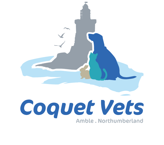 Coquet Vets