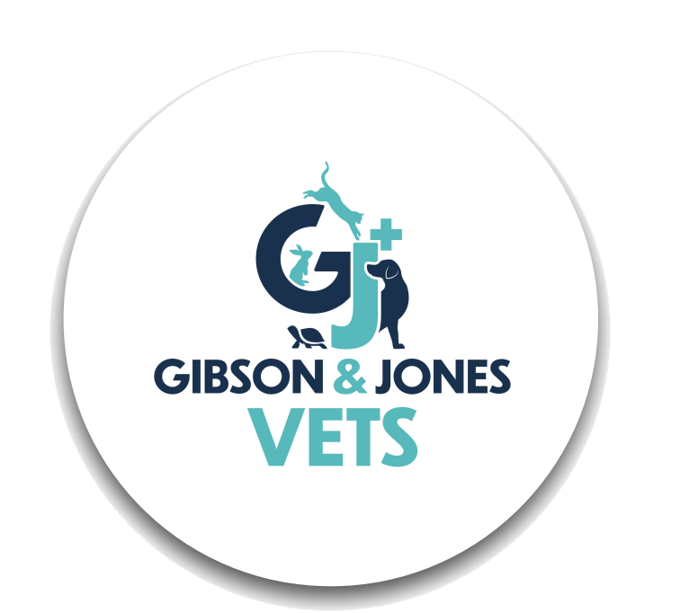 Gibson & Jones Vets