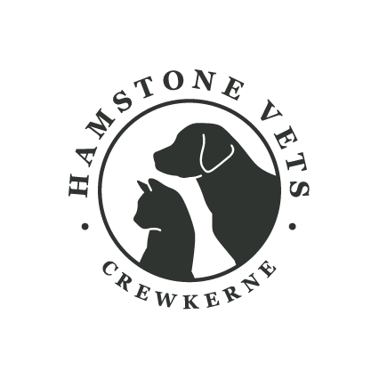 Hamstone Vets
