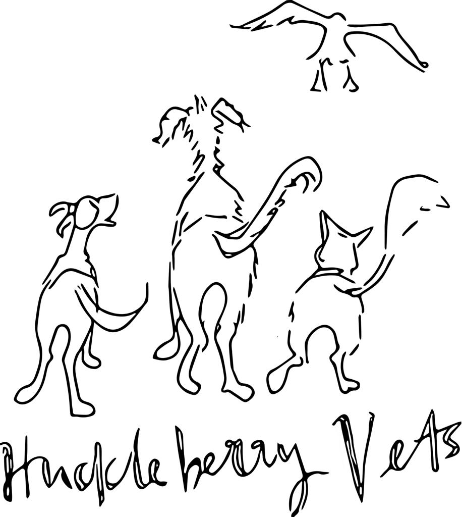 Huckleberry Vets