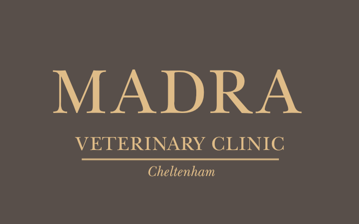 Madra Veterinary Centre