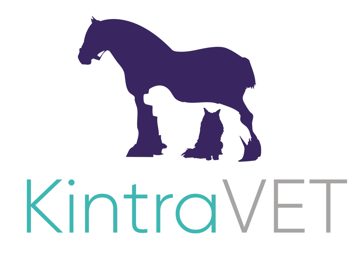 Kintra Vet