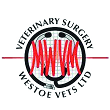 Westoe Vets