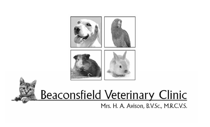 Beaconsfield Veterinary Clinic
