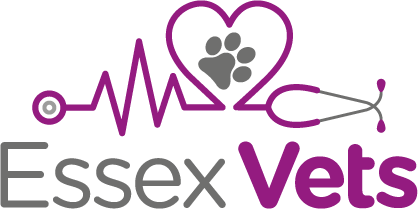 Essex Vets