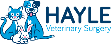 Hayle Veterinary Surgery