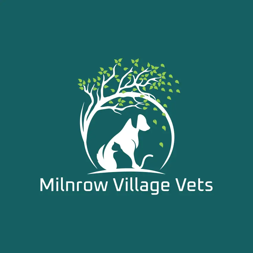 Milnrow Village Vets
