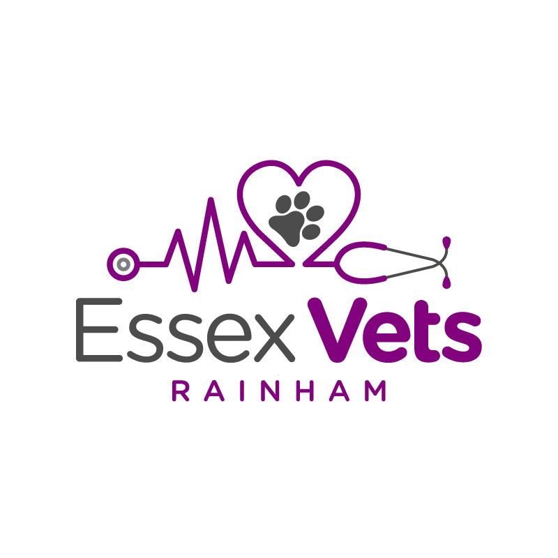 Essex Vets Rainham