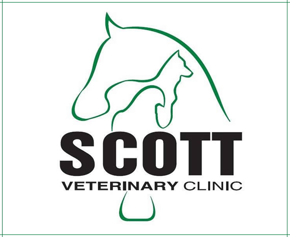 Scott Veterinary Clinic
