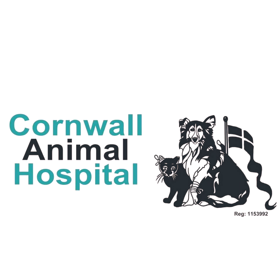 cornwall animal hospital