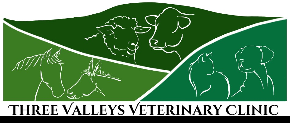 three valleys logo