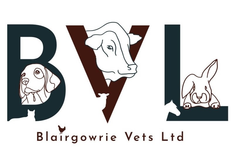 blairgowrie vets